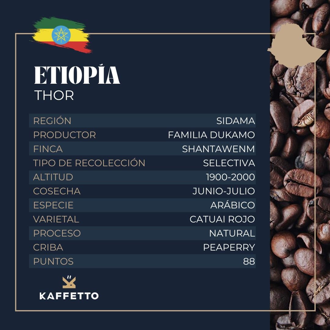 ETIOPIA "THOR" - KAFFETTO