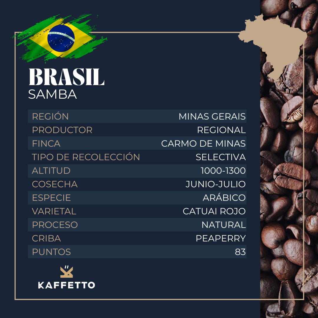BRASIL "SAMBA"