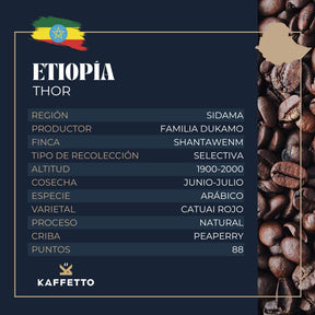 ETIOPIA "THOR"
