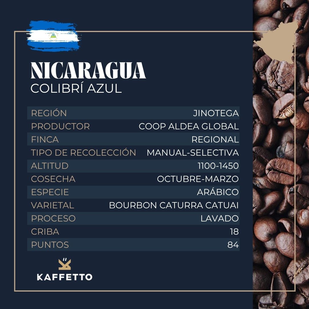 NICARAGUA "COLIBRÍ AZUL"