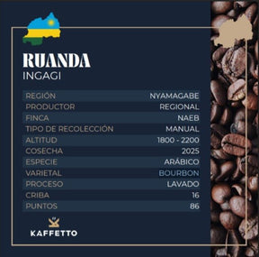 CAFE DE ESPECIALIDAD RUANDA "INGAGI" - KAFFETTO