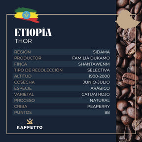 ETIOPIA "THOR" - KAFFETTO