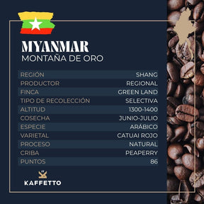 MYANMAR "MONTAÑA DE ORO" - KAFFETTO