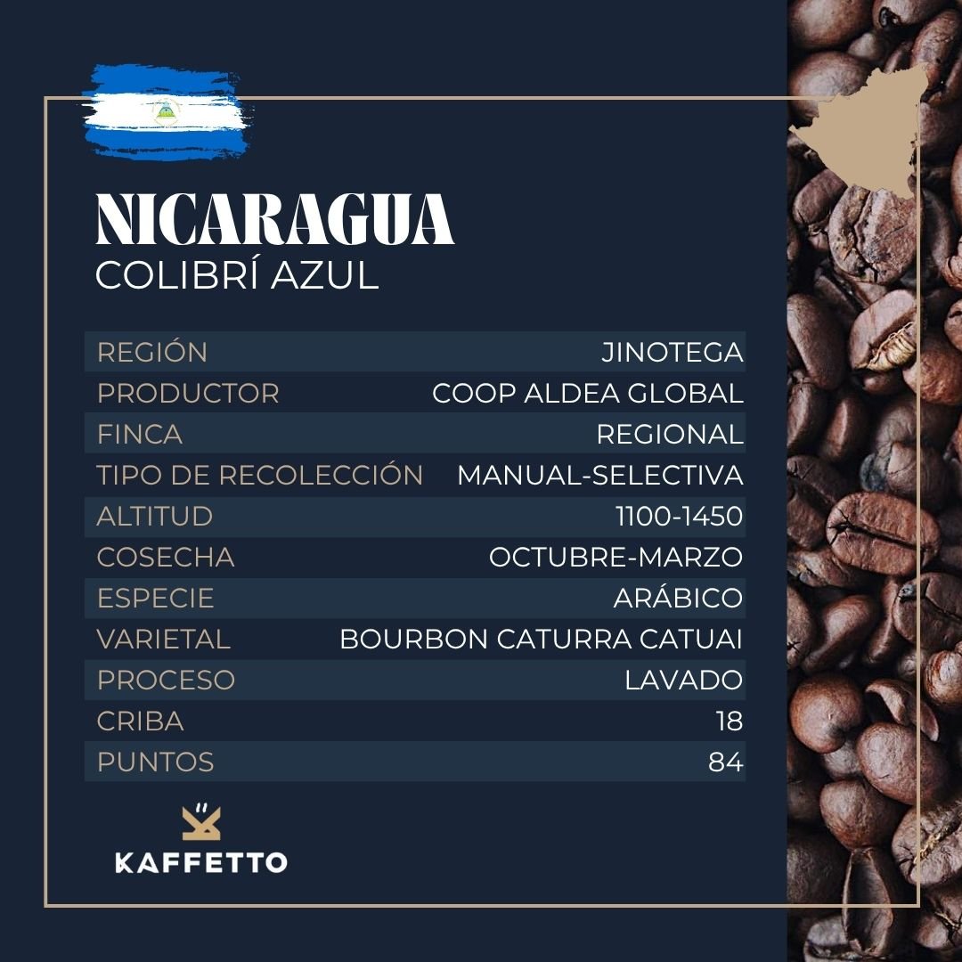 NICARAGUA "COLIBRÍ AZUL" - KAFFETTO